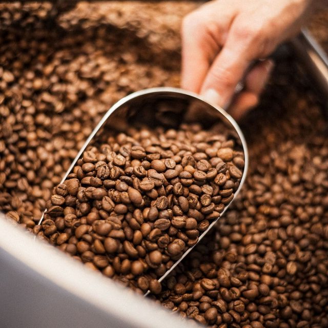 dieroesterin_Juni24-36